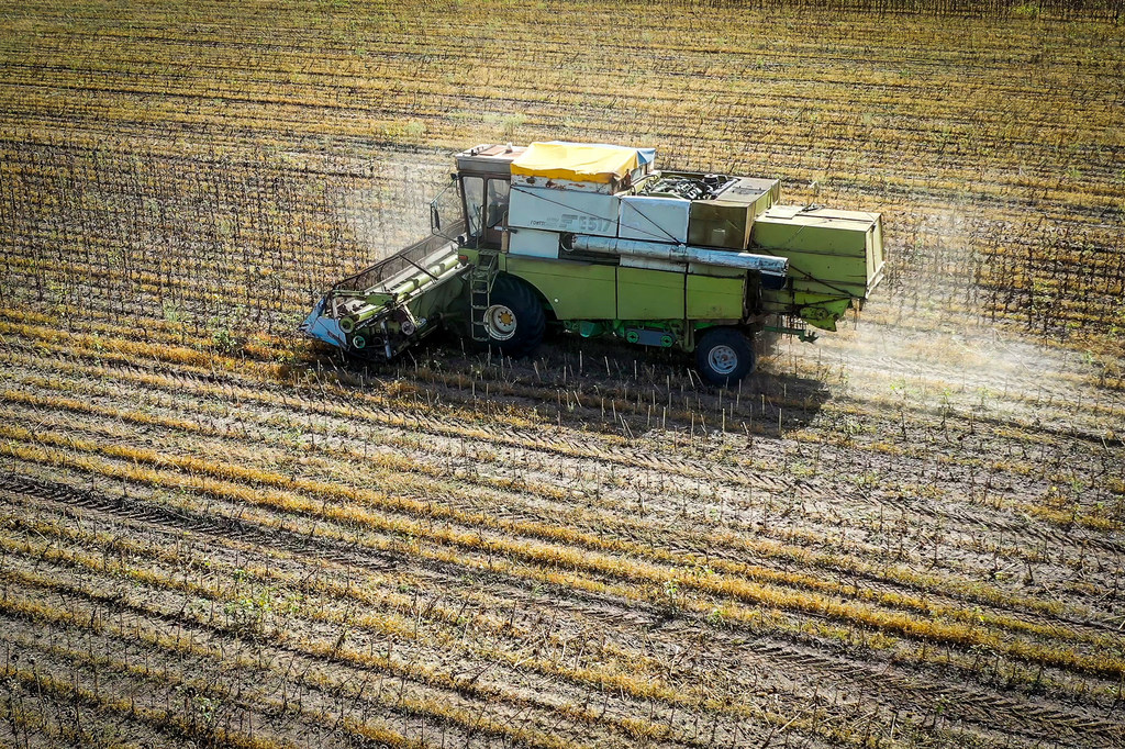 A crop farm in Baranove, Odesa region, Ukraine.
